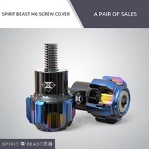 혼다 가와사키 스즈키 BMW 야마하 베넬리 아프릴리아 두카티 효성 대림용 혼다 가와사키 스즈키 용 정령 야수 나사 커버 오토바이 범용 알루미늄 합금 CNC 액세서리 바디 장식 번호, L5 blue