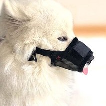 할로펫 반려견 입마개 블랙, XL