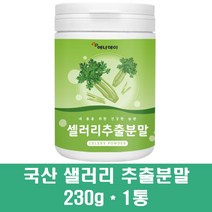 국내산 샐러리 추출분말 가루 차 주스 녹즙 야채 채소 식이섬유 비타민K 플라보노이드 아침대용 쉐이크 효능, 1통