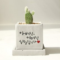 어머니 아버지 사랑합니다 - 상견례선물 캘리그라피 미니커플화분 선물, 와이드화분(+18000원), 그레이, 뒷면인쇄선택(+5000)