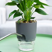앙플랜트 저면관수 자동급수 원형플라스틱화분 미니 소 중.대 (화이트 그레이), 저면관수 원형플라스틱화분 그레이, 소 (10.5cm)