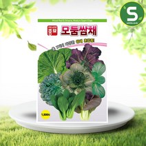 아시아종묘 쌈채소씨앗 모둠쌈채 (1500립), 모둠쌈채1500립(아시아)