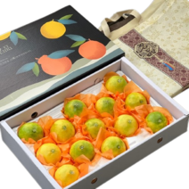 [산지직송] 제주 황금향 귤 가정용 선물용, 가정용 5kg (소)