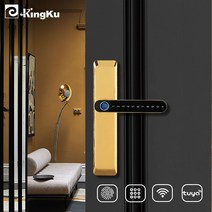 스마트금고 개인금고 미니 가정용 대형 금고Kingku WIFI Tuya Fingerprint Door Lock Smart Password Digit, 06 gold 5072 wifi
