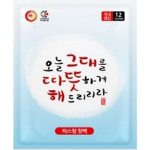 해피데이 오늘 그대를 따뜻하게 해드리리라 파스형 핫팩 50 g, 200개