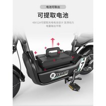 JSH 성인 전동차 전동 스쿠터 2인승 여성 조력 레저대보차 전기자전거, 레드 주행거리50km 12A 납산배터리