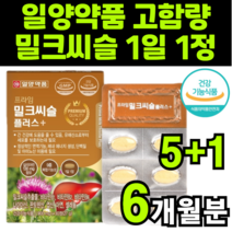 고함량 밀크티슬 밀크씨유 SILYMARIN complex MILKTHISTLE EXTRACT 밀크시술 실리마린 비타민b 피곤할때 피로회복 영양제 가시 엉겅퀴 하루 1알 일양약품, 6박스(6개월분)