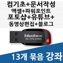 [엑셀피벗&파워쿼리바이블] 엑셀 사용법 기초 활용 강의 USB