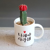 사랑해 다육이 머그컵 - 친구 여자친구 커플 다육이 머그컵 선물, 추가함(4~5알)(+900), 2마리추가(+600), 2송이 추가(+2000)
