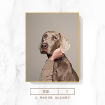 화장실 욕실 그림 방수 액자 강아지 고양이 사진 인테리어, 4_골드(알루미늄 합금)_50x70