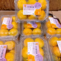 당도선별 하우스 감귤, 500g, 1개