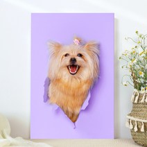 강아지 고양이 애완동물 반려동물 반려견 사진 방꾸미기 인테리어 캔버스 액자, 05요크셔테리어