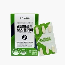프롬바이오 관절연골엔 보스웰리아 30정 x 2 (1개월 ) 이병헌 관절약, 단품, 단품