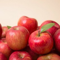 [착한식탁]가정용 경북 홍로사과 꼬마소과 9kg, 단일속성