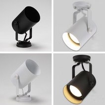 비츠온 원통직부등, 화이트