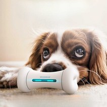 스마트 자동강아지 장난감 뼈다귀 토이 놀이 자동 애완, 2세대 드라이버 보드Bluetooth