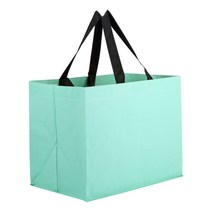 타포린가방 대형 민트 348795EA, 쿠팡 본상품선택
