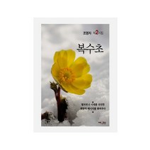 복수초:조영자 제6시집, 조영자 저, 넥센미디어