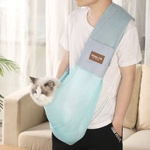 강아지 고양이 켄넬 시원한 메쉬 여행 캐리어 김숙 가방 웰시코기 위고백 이동장 슬링백 산책 소프트 산책용 카시트겸용 돔, L, C