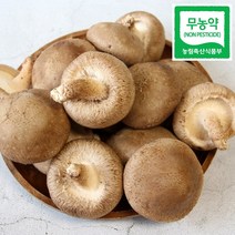 광헌팜 생표고버섯 1kg/2kg/4kg, 표고버섯 선물용 2kg, 1개