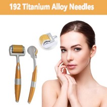 DR Derma 롤러 티타늄 팁 0.3mm 0.25mm 0.2mm 티타늄 Mesoroller 바디 페이스 트리트먼트 마이크로 바늘 Mezoroller Dermaroller|Fa, 1개, Silver 0.25MM, 단일