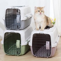강아지 고양이 켄넬 케이지 이동가방 애견 이동장 더블도어 캐리어 기내용 항공, 퍼플(L)