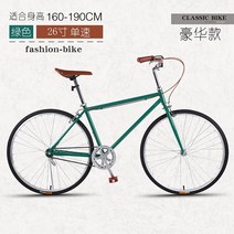 쌀집자전거 옛날자전거 빈티지 아줌마 일본 엄마 바구니 20, 26인치, 26인치-럭셔리-그린-단속