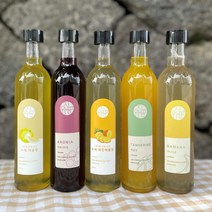 유진팡 제주산 발효 과일청 300ml, 제주산 아로니아청