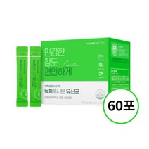 바이탈뷰티 녹차에서 온 유산균 1.2g X 60포
