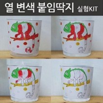 사이언스존 과학키트 열변색 붙임딱지 실험kit 5인용 과학실험키트