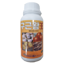 구근왕500ml 구근비대제(마늘 양파 감자 고구마)-작물영양제, 1개