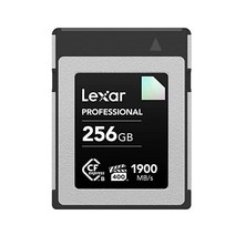 렉사 Diamond Series Professional 256GB CF Express TypeB 메모리 카드