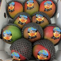[신선하루] 당도보장 프리미엄 애플망고 항공직송 2kg 4과수 4kg 8과수 고급선물세트, 1개, 2kg 4과수내외