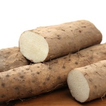 무농약 진주 참마 장마 알뜰마 2kg, 단품