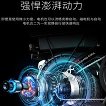 알바 모던 편리한 장보기 대용량 성인용 14인치 접이식 전기 자전거 가성비 배달용 소형 미니, 48V, 20AH, 표시판에 전기 자동차 순수 X - 6A - 전기. 심지
