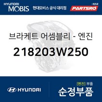 투싼IX 엔진 마운팅 브라켓 (218203W250)