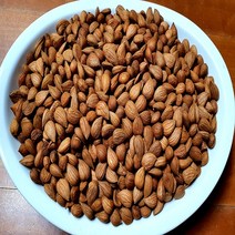 살구씨 국내산 200g 행인 도매가능, 국산 200g, 1개