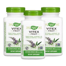 네이처스웨이 바이텍스 과일 체이스트나무 이탈리아목형 열매 400mg 320정 3개