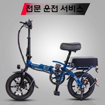 차량수납가능 대용량 출퇴근 초경량 야외레저용 교체가능 전기자전가 배터리, 로얄 블루