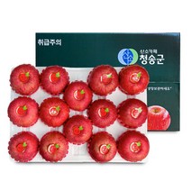 [오늘신선] 경북 청송 명절선물 프리미엄 과일선물 사과세트 5kg(14과내), 단품