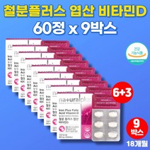 코스트코 키즈 멀티 남자 남성 어린이 임신초기 출산후 산모 여성 수유부 철분제 엽산 헤모글로빈 철분 비타민d 영양제, 9박스