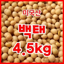 백태 4.5kg 수입콩(미국산) 수입산 원적외선 열을가한 백태 두부콩/메주콩/콩국수콩, 1개