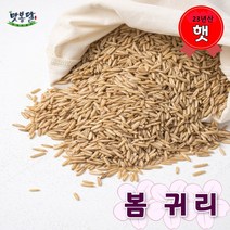 맛봉달 봄귀리 귀리쌀 오트밀 통귀리 국내산, 20kg 마대포장