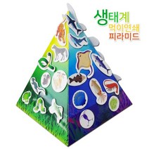 생태계 먹이연쇄 피라미드 만들기(5인)