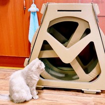 종이 캣휠 만들기 캣타워 아기고양이 벽타기 캣힐 골판지, 대형