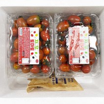 인기 있는 유기농대추방울토마토 추천순위 TOP50