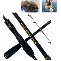 시마노 이이다코 XR H155 20년형 윤성정품 쭈갑 선상