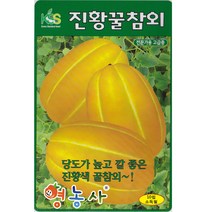 진황꿀 참외씨앗 10립, 진황꿀참외