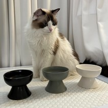 고양이세라믹그릇 저렴하게 사는법