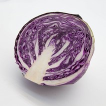 [프레시팜] 국내산 적채 적양배추 특품 1통 4kg 8kg 16kg 내외, 6통(8kg 내외)